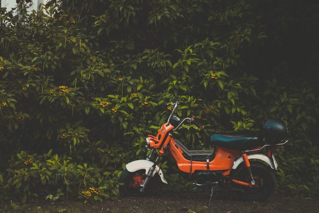 honda piwi