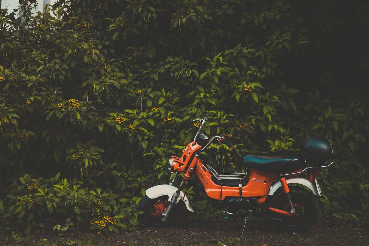 honda piwi