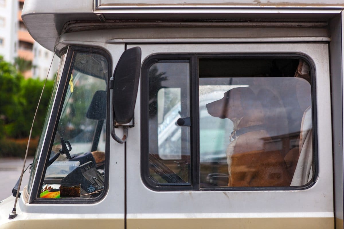 meilleur marque de camping-car
