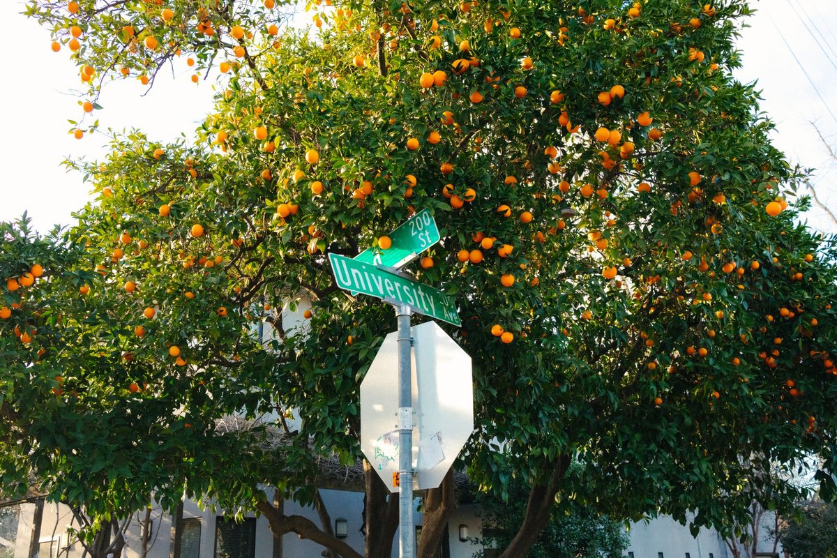 plaque orange et verte