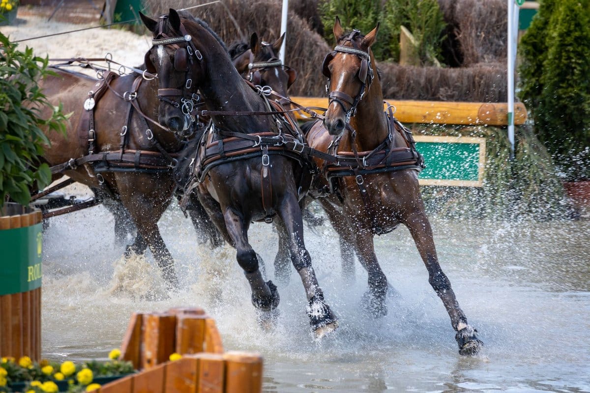 kw en chevaux